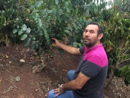 Coffee Farm Guatemala Origin Trip